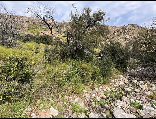 1,175HA FARM FOR SALE IN PRINCE ALBERT RURAL